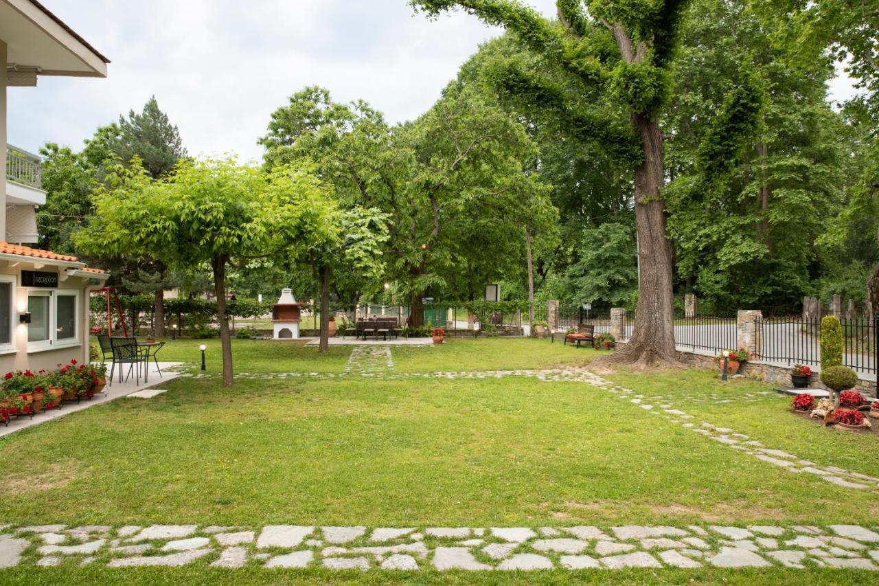 Evaggelia Apartament Skotina